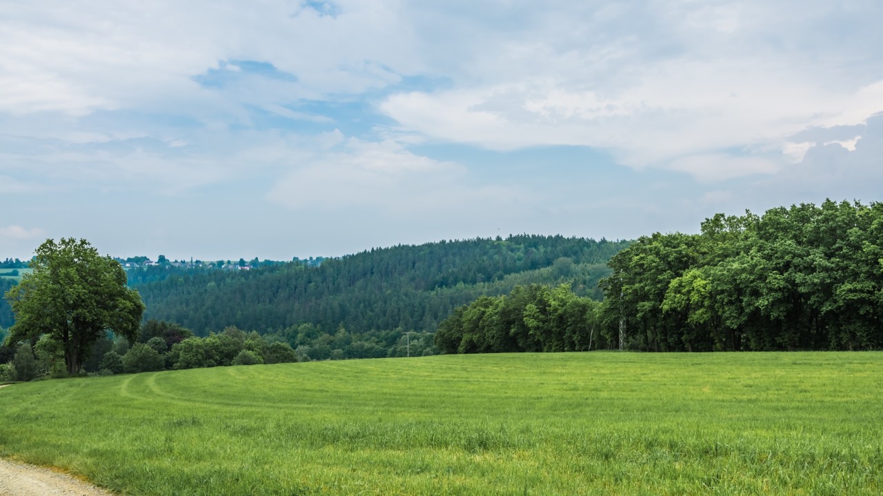 Tervezed az Aranykalászos gazda képzést, vagy termőföldbe fektetnél?